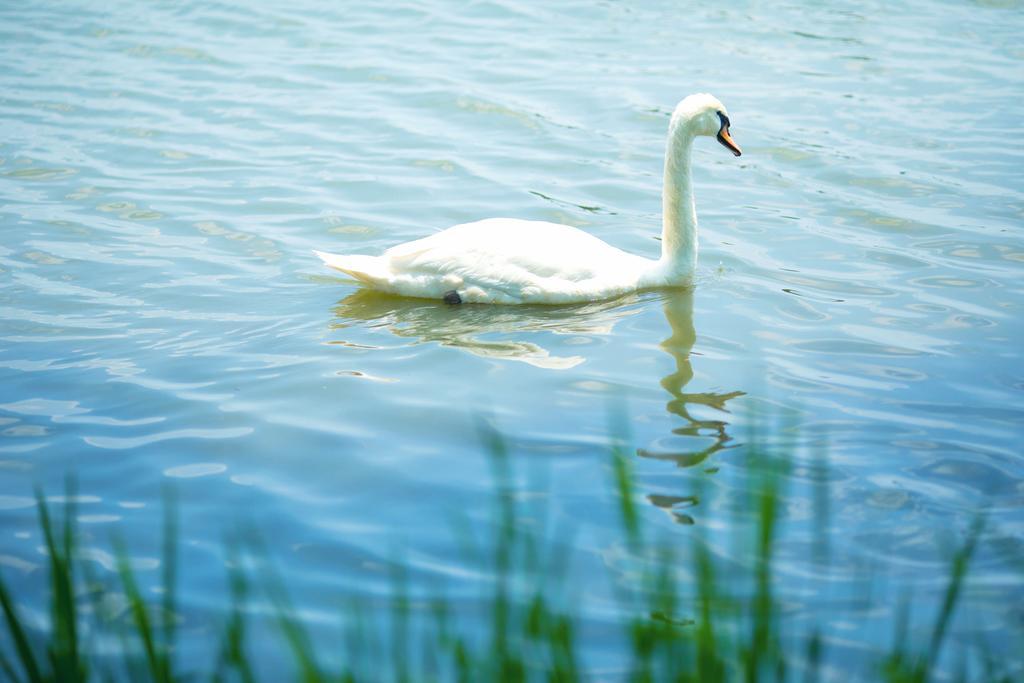Mito Hotel Season Zewnętrze zdjęcie